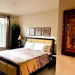 Cozy Nearby Attractions Center Apartment Seattle